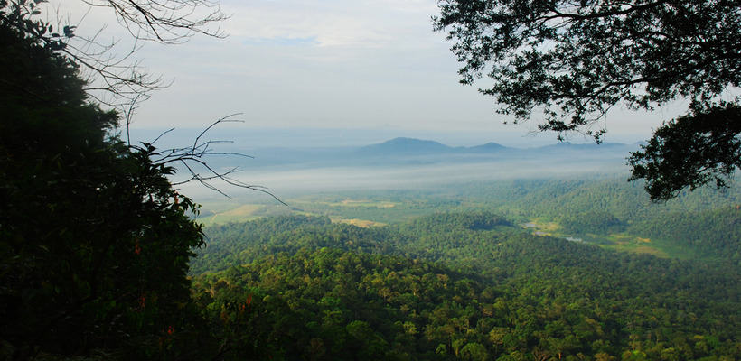 Gunung Panti | Johor Bahru, Malaysia | Embark.org