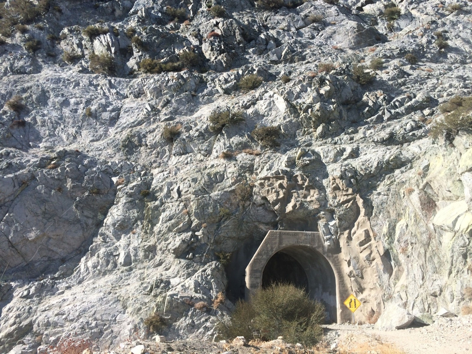 Mt. Wilson Observatory to historic Mt. Lowe (Ghost Attraction Hike